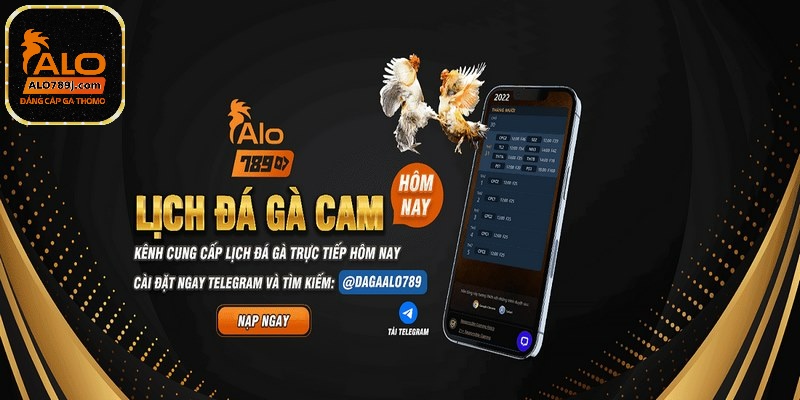 Đá gà cựa sắt - Những lưu ý nên biết khi cược đá gà tại ALO789 2 Đá gà cựa sắt sở hữu sức hút đặc biệt nhất hiện nay