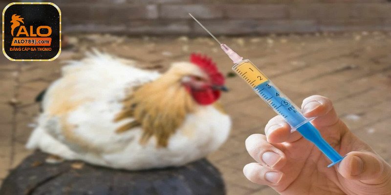 Đặc trị gà khò khè kèm nước mũi màu xanh, đờm