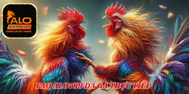 FAQ - Câu hỏi liên quan nhà cái alo789 đá gà